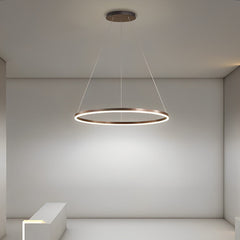 16'' Simple Circle Single Pendant Light Acrylic Pendant Lighting