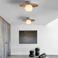 Minimalistische Komvormige LED Nordic Plafondlamp Opbouwverlichting