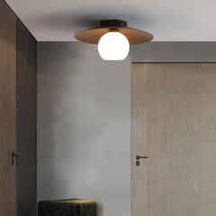 Minimalistische Komvormige LED Nordic Plafondlamp Opbouwverlichting