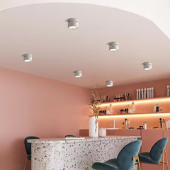 Aven Ceiling-mounted light Spotlight