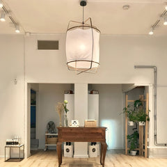 Ay illuminate Houselight Pendant Light