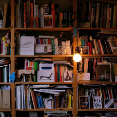 Ball Series Drop light Pendant Light