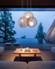 Bee Plate Ceiling fixture Chandelier