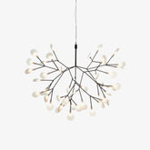 Black Firefly LED Ceiling fixture Chandelier