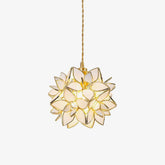 Capiz Hanging light Pendant Lamp