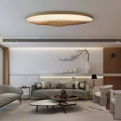 Half-Mountain Flush mount light Ceiling Lamp