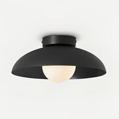 Harper Glass Dome Overhead light Ceiling Lamp