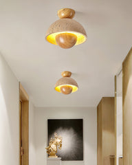 Inverted Ceiling-mounted light Ceiling Lamp