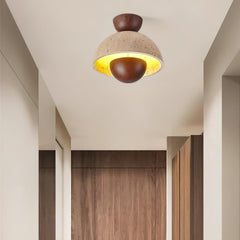 Inverted Ceiling-mounted light Ceiling Lamp