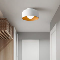 Lumosphere Overhead light Ceiling Light