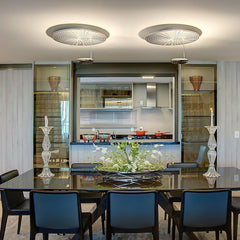 Mercury Ceiling fixture Ceiling Lamp