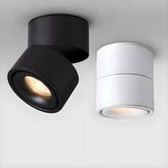 Rotatable Spotlight Overhead light Ceiling Light