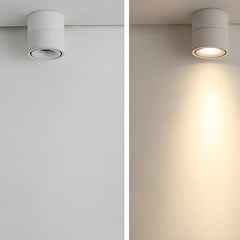 Rotatable Spotlight Overhead light Ceiling Light