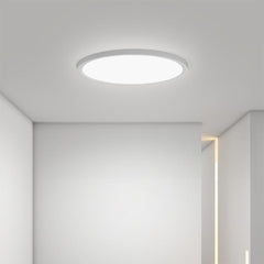 Minimalist Black Circle Industrial Flush Mount Kitchen Lighting Dining Room Lighting Ceiling Light