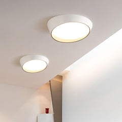 Toronto Overhead light Ceiling Lamp
