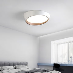 Toronto Overhead light Ceiling Lamp