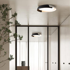 Vikaey Ceiling fixture Ceiling Light