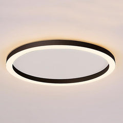 16'' Modern Simple Circle Flush Mount LED Lights Dimmable Ceiling Lights with Remote
