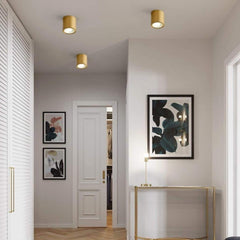 Cilindrische Koper Messing LED Moderne Plafondlamp Opbouwverlichting