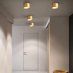 Cilindrische Koper Messing LED Moderne Plafondlamp Opbouwverlichting