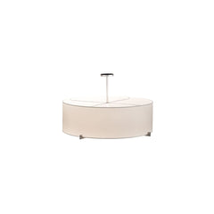 4 Light 36" Wide Pendant