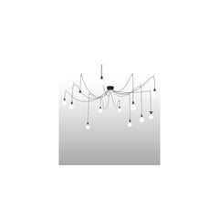 12 Light 120" Wide Suspension Multi Light Pendant