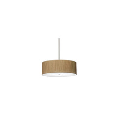 4 Light 42" Wide Pendant