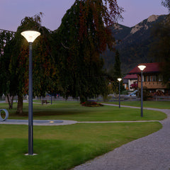 1-Light Black Outdoor LED Solar Lamp Post and Pole Street Light