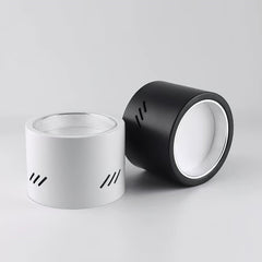 Aven Ceiling-mounted light Spotlight