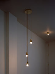 Ball Series Drop light Pendant Light