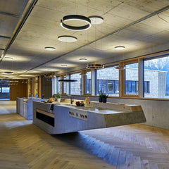 Circular Ceiling fixture Chandelier