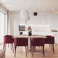 Cosmos Combination Drop light Pendant Light