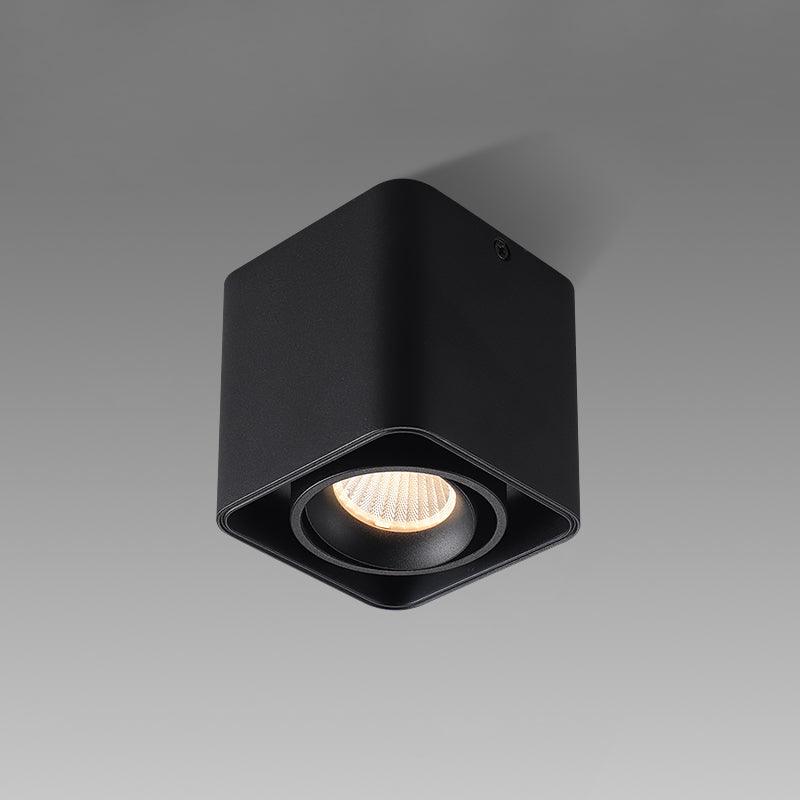 Giyan Flush mount light Spotlight