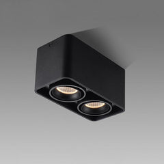 Giyan Flush mount light Spotlight