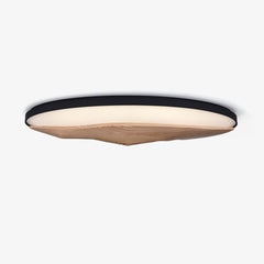 Half-Mountain Flush mount light Ceiling Lamp