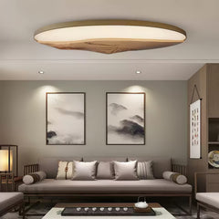 Half-Mountain Flush mount light Ceiling Lamp