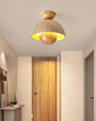 Inverted Ceiling-mounted light Ceiling Lamp