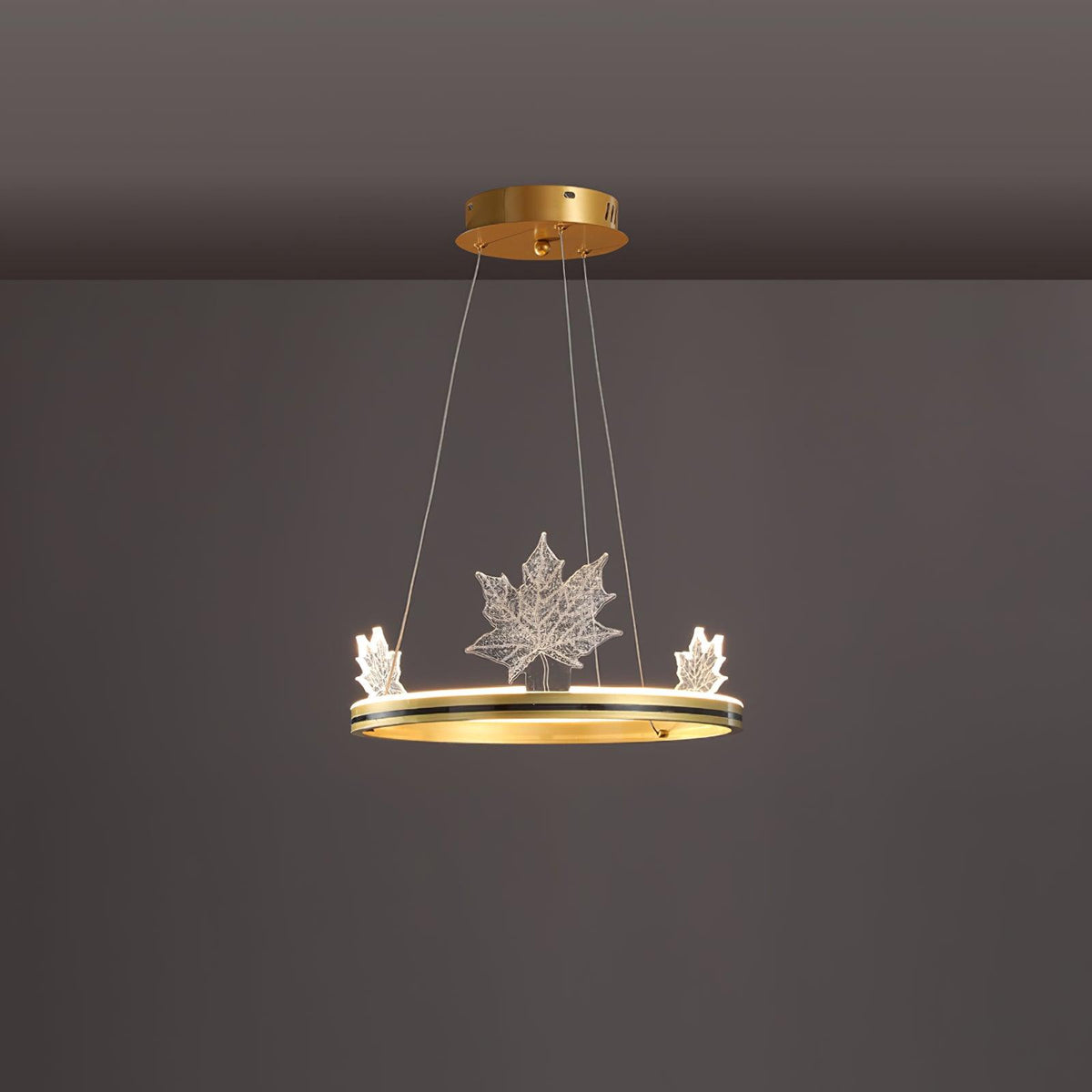 Ion Leaf Ceiling fixture Chandelier