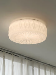 Adler Ceiling fixture Ceiling Light