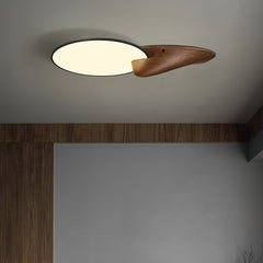Lone Peak Ceiling-mounted light Ceiling Lamp