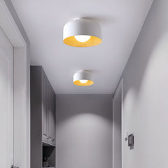 Lumosphere Overhead light Ceiling Light