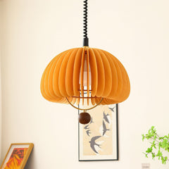 Pumpkin Adjustable Drop light Pendant Light