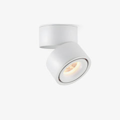 Rotatable Spotlight Overhead light Ceiling Light