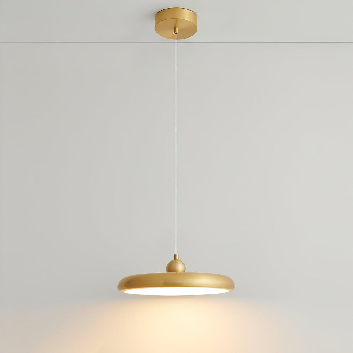 Thin Disc Drop light Pendant Lamp