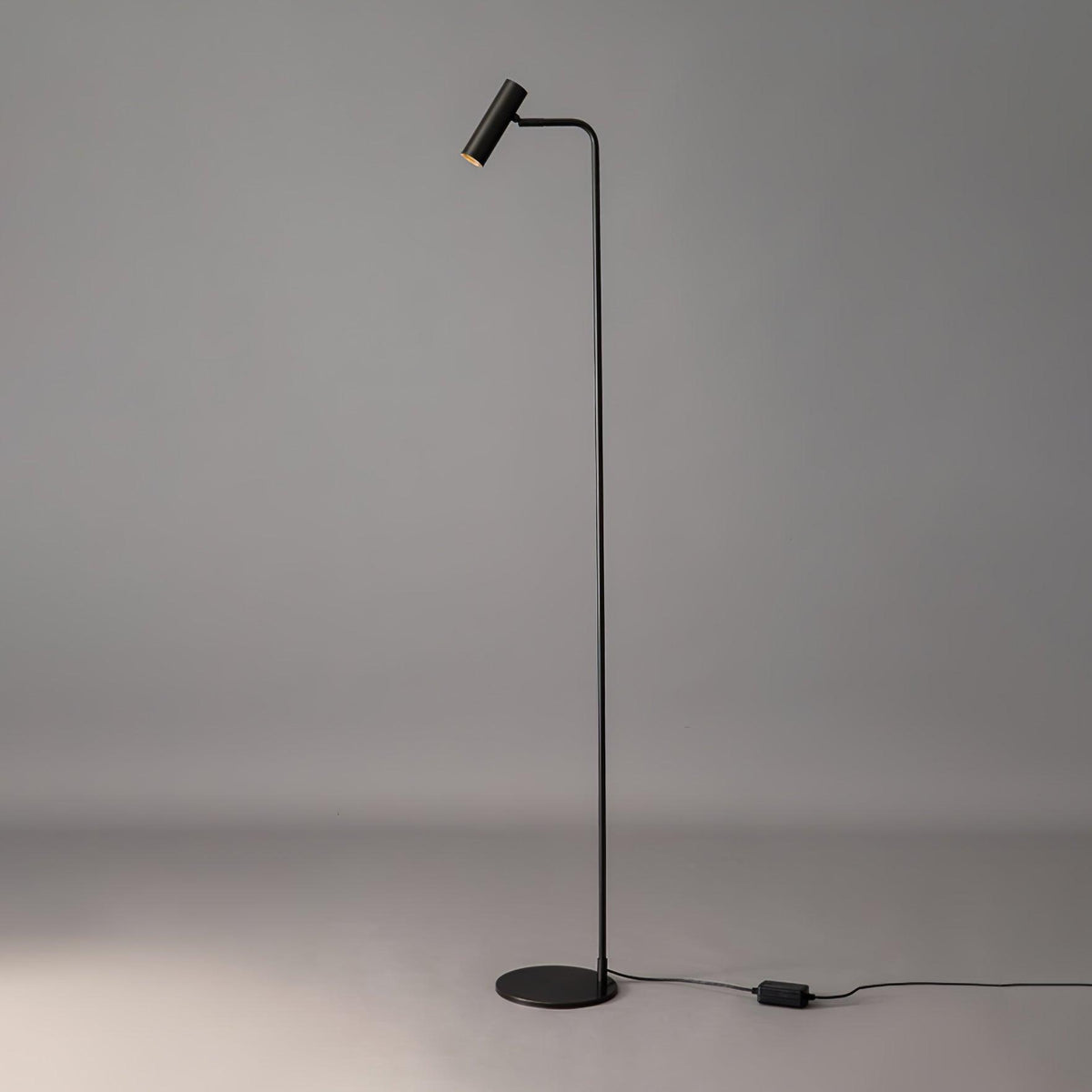Torris Reading Lamp Floor Lamp