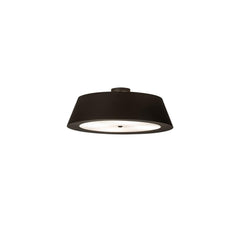 4 Light 34" Wide Pendant